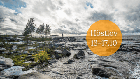Nyheter / Uutiset / News