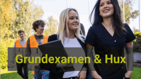 Nyheter / Uutiset / News
